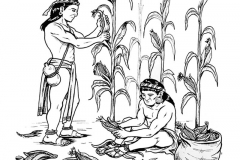 agricultura-maya