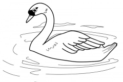 dibujo-de-cisne