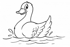 dibujos-de-pato