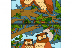 find-10-differences-between-pictures-of-owl-puzzle-puzzle-game
